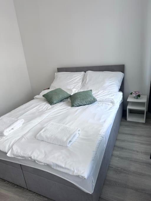 什切齐内克Przytulny Apartament公寓 外观 照片